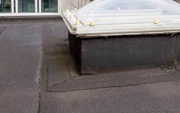 disadvantages of Crynant flat roofs