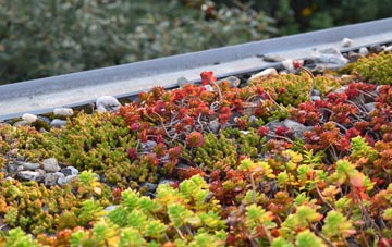 the cost of Crynant green roof installation